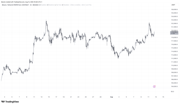 Bitcoin Pulls Back From $122K, Is the Rally Losing Steam or Just Pausing?