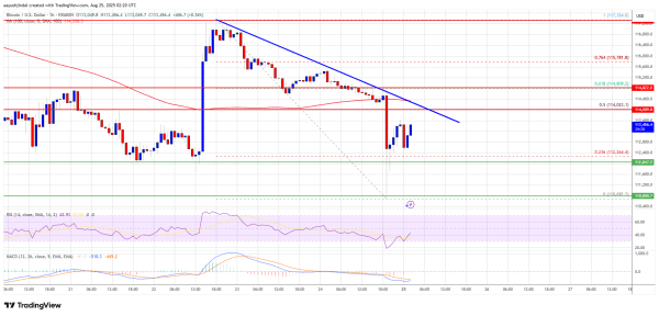 Bitcoin Price Declines Further, Can Buyers Prevent Another Sharp Drop?