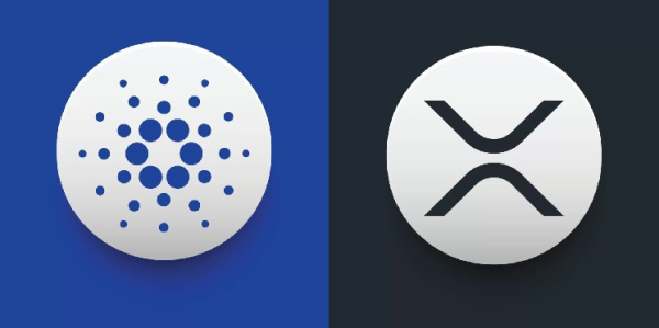 Cardano (ADA) Founder Charles Hoskinson Meets with Ripple CEO Brad Garlinghouse – Here Are the Details