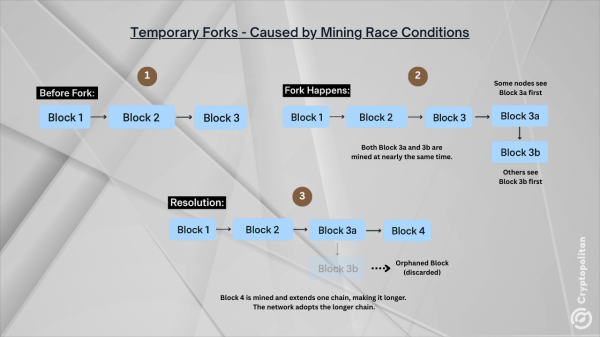 What is a Fork in Crypto?