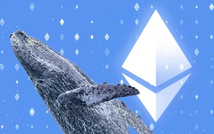 Whale Who Bought Ethereum in 2014 Has Woken Up: It Paid Only $100, Here’s Its Current Value