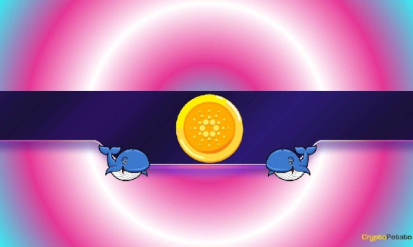 200,000,000 ADA in Just 2 Days: Are Cardano Whales Preparing for Something?