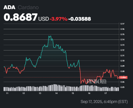 2 cryptocurrencies to reach $50 billion market cap in 2026