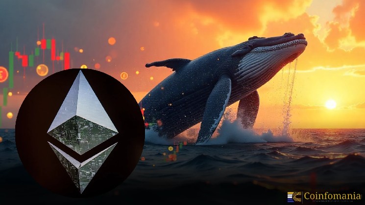 Whale Watch: $12M Ethereum Long Position on Hyperliquid Draws Attention