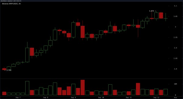 XRP Price Watch: Bulls Defend $3 as Price Steadies at $3.04