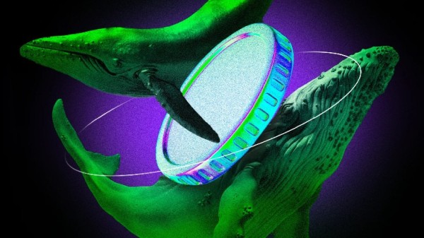 Crypto Whales Bought These Altcoins in the Third Week of September 2025