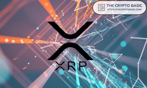 Here’s Volume Needed for XRP to Hit $100 as Expert Links XRP Value to XRPL Activity
