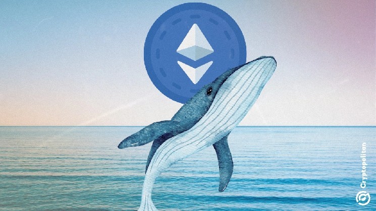 Ethereum whale unlocks $800M to join Plasma liquidity rush as new chain hits $2.9B TVL Ethereum whale unlocks $800M to join Plasma liquidity rush as new chain hits $2.9B TVL