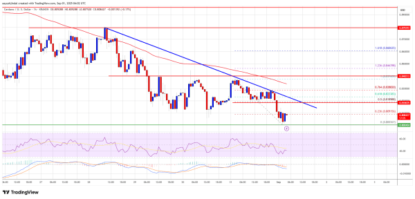 Cardano (ADA) Faces Selling Pressure – Is This the Start of a Trend?