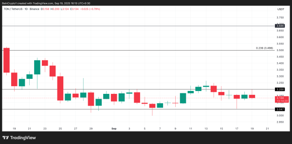 Crypto Whales Bought These Altcoins in the Third Week of September 2025