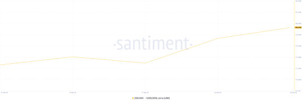 Crypto Whales Bought These Altcoins in the Third Week of September 2025