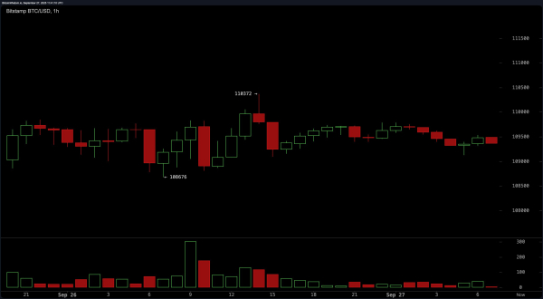 Bitcoin Price Watch: Daily Chart Turns Bearish — What’s Next for BTC? Bitcoin Price Watch: Daily Chart Turns Bearish — What’s Next for BTC?