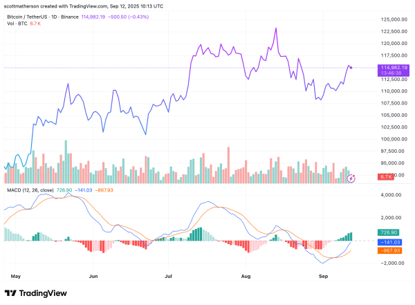 Bitcoin Price Flashes ‘Rarest Signal’ Ever, Is A 100% Rally Possible?