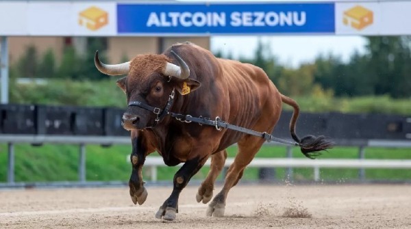 Altcoin Season May Finally Be Coming! Famous Founder Announces Date, Announces Three Altcoins to Lead the Rally!