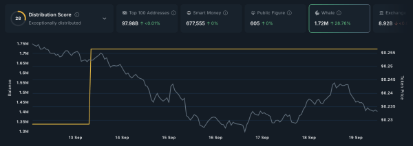 Crypto Whales Bought These Altcoins in the Third Week of September 2025
