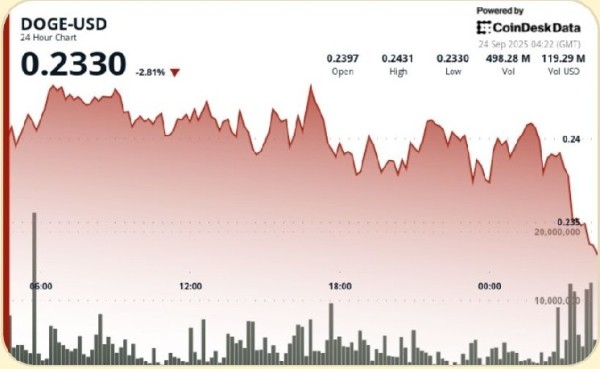 DOGE Holds Firm Above $0.24 Support in Choppy Session