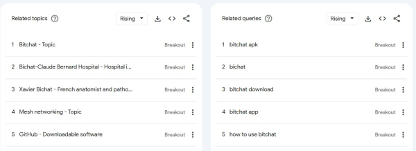 Bitchat searches, downloads spike in Madagascar amid protests Bitchat searches, downloads spike in Madagascar amid protests