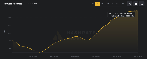 Another Day, Another Record: Bitcoin’s Computing Muscle Flexes Harder