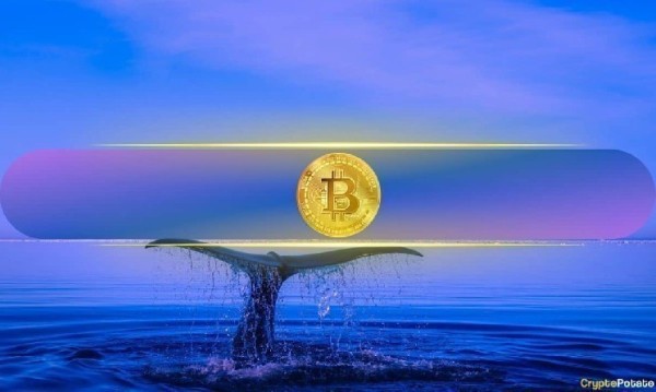 Bitcoin Ownership Shifts: Whales Cash Out as Mid-Tier Investors Rise in 2025 Bitcoin Ownership Shifts: Whales Cash Out as Mid-Tier Investors Rise in 2025