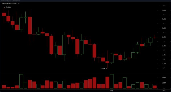 XRP Price Watch: Bulls Defend $3 as Price Steadies at $3.04