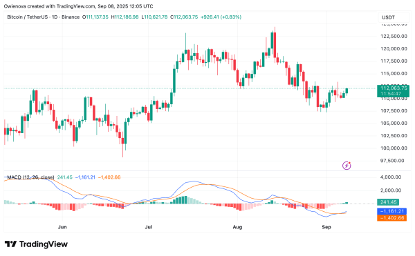 Bitcoin Finds Crucial Support On Bull Market Band — Will Momentum Hold