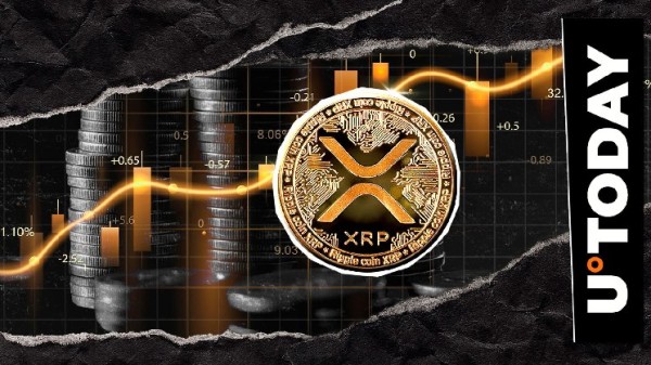 XRP Explodes 316.9% in Payment Volume, Silent Price Signal?
