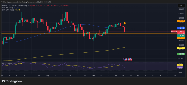 Bitcoin Price Flash Crash: Buy the Dip or Expect More Pain?