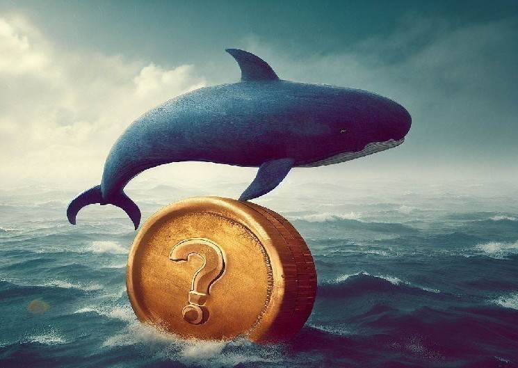 Altcoin Whales Have Been Very Active in Recent Hours: Here Are Their Critical Trades