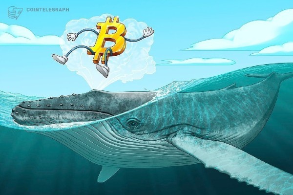 Bitcoin whales dump 115,000 BTC in biggest sell-off since mid-2022 Bitcoin whales dump 115,000 BTC in biggest sell-off since mid-2022