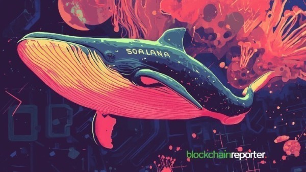 Huge Solana Whale Deposit Hits Coinbase Institutional as Price Holds Near $239