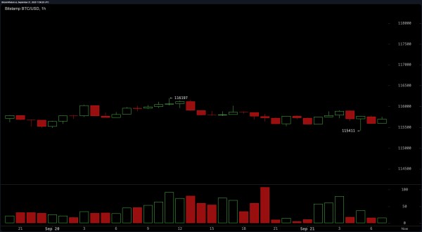 Bitcoin Price Watch: Tight Range Signals Imminent Breakout or Breakdown Bitcoin Price Watch: Tight Range Signals Imminent Breakout or Breakdown