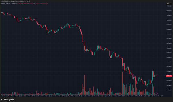 HOT MOMENTS: Bitcoin and Altcoins Plunge – Why İs BTC Down? Here’s Latest Data