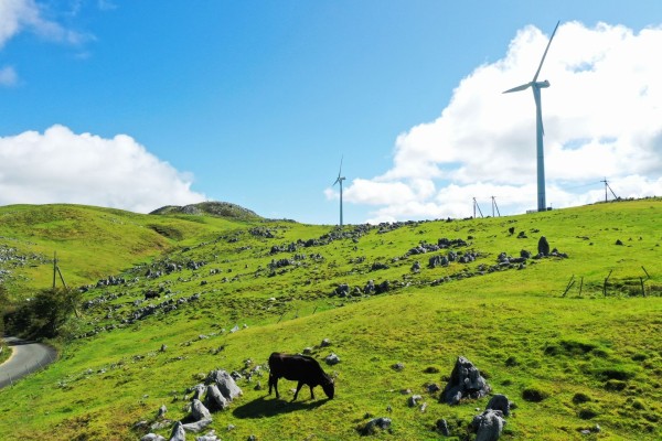 Japan’s Local Governments Use NFTs for Regional Revival & Tourism Japan’s Local Governments Use NFTs for Regional Revival & Tourism