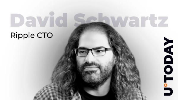 Ripple CTO Makes Rare Addition to His $190,000 XRP NFT Collection