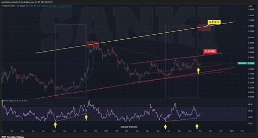 Dogecoin Consolidates After Recent Rejection, But $0.32 Retest Looks Inevitable
