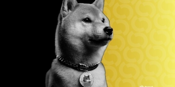 Why Is Dogecoin Down So Much Worse Than Bitcoin and Ethereum? Why Is Dogecoin Down So Much Worse Than Bitcoin and Ethereum?