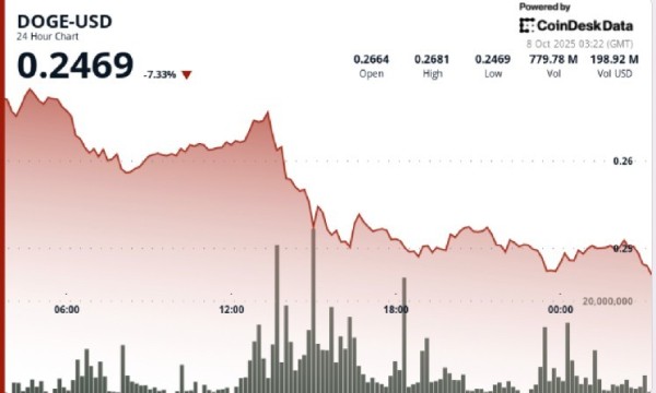 Dogecoin Plunges 8% Before Whale Buying Stabilizes at DOGE Prices $0.25