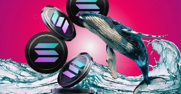 SOL Strategies to Purchase 80k SOLs Extra; Solana Price Aims for $320