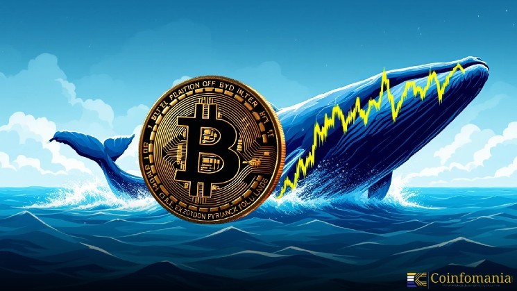 ETH Whale Short Shocks Market with $329 Million Bet