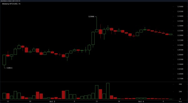 Bitcoin Price Watch: Sky-High Momentum Meets Fading Volume Bitcoin Price Watch: Sky-High Momentum Meets Fading Volume