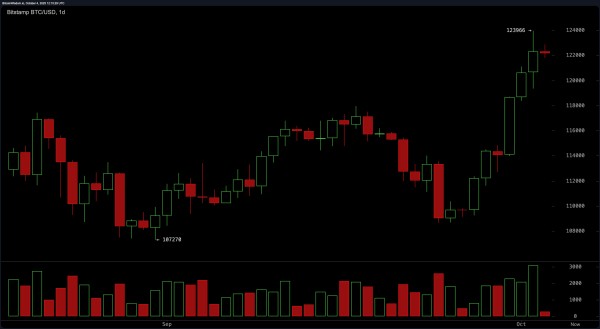 Bitcoin Price Watch: Sky-High Momentum Meets Fading Volume Bitcoin Price Watch: Sky-High Momentum Meets Fading Volume