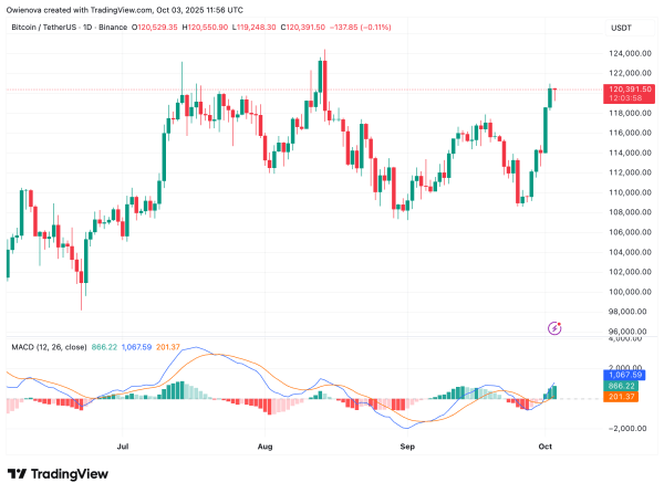 Bitcoin Capital Flow Must Enter The Network Before Global Dominance — Here’s What Will Happen Bitcoin Capital Flow Must Enter The Network Before Global Dominance — Here’s What Will Happen