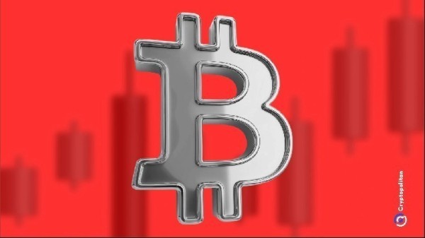 Bitcoin’s role as portfolio hedge in doubt after historic crypto crash Bitcoin’s role as portfolio hedge in doubt after historic crypto crash