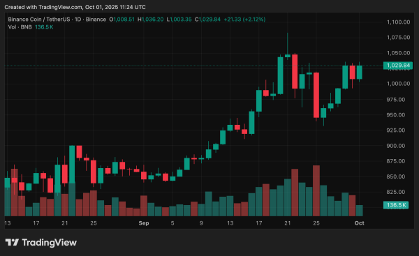 BNB Chain hack update: X account reclaimed after $13k theft, victims to be compensated BNB Chain hack update: X account reclaimed after $13k theft, victims to be compensated