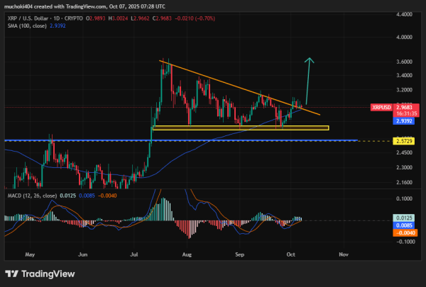 Retail Fear Grows in XRP, and That’s Usually When Rallies Begin Retail Fear Grows in XRP, and That’s Usually When Rallies Begin