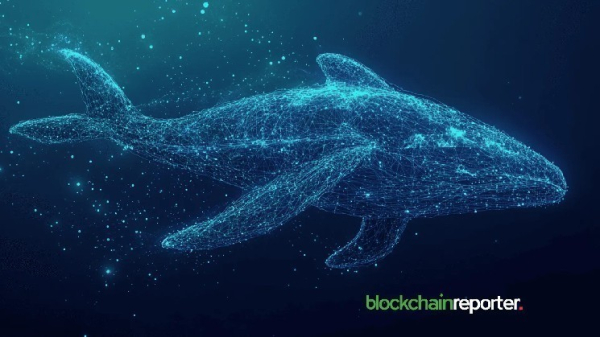 $ZEC Whale Pockets $1.25 Million as Momentum Turns Bullish on Hyperliquid