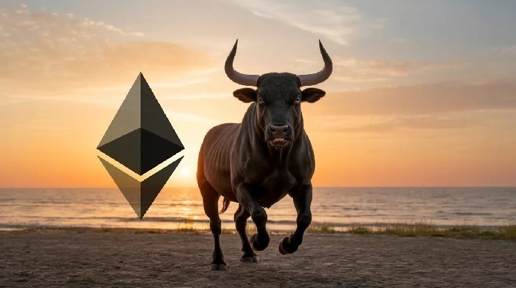 Ethereum's Investors Are Suddenly Bullish! What Does It Mean for ETH Price?