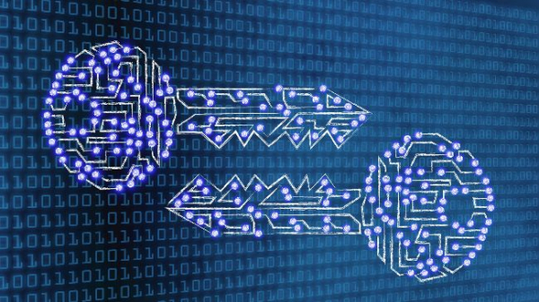 ‘Privacy Is the Immune System of Freedom’: Crypto Advocacy Sparks Uproar in São Paulo 