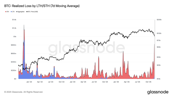 Did Bitcoin Just Bottom Out? What the Data Says About a Rebound Did Bitcoin Just Bottom Out? What the Data Says About a Rebound