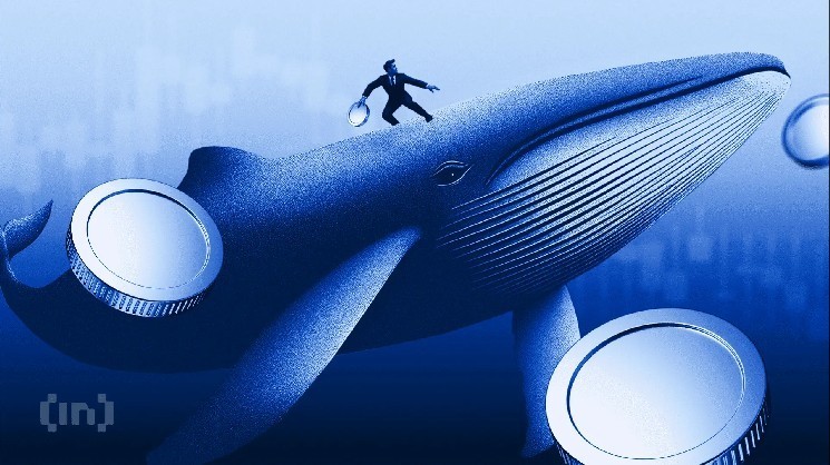 Ethereum Survives $3,100 Breakdown After Hayes’ $4M Sell-Off and Whale Awakening Ethereum Survives $3,100 Breakdown After Hayes’ $4M Sell-Off and Whale Awakening